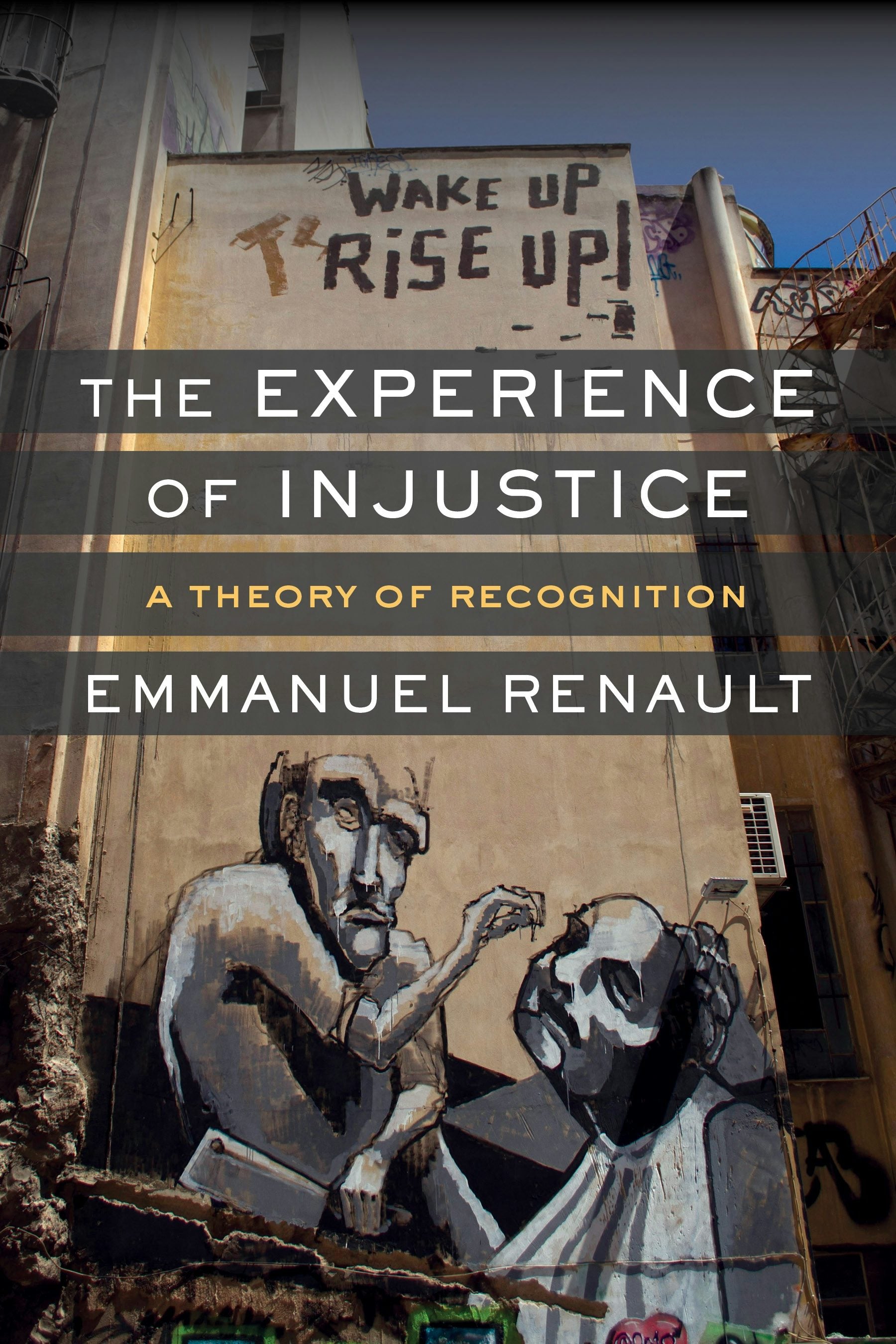 Book cover image for The Experience of Injustice ISBN: 9780231177061